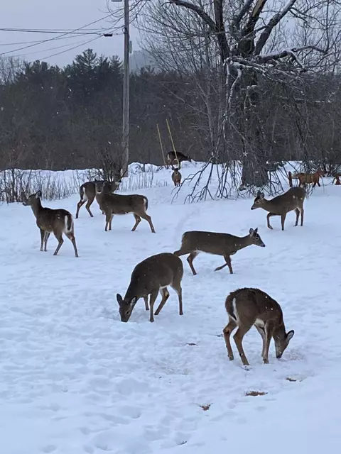 Other - 40 Pine St, Dixfield, ME 04224 photo 11 of 12