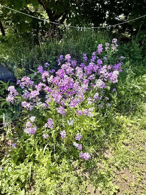 Other - 6 Case Dr, Lubec, ME 04652 photo 1 of 4