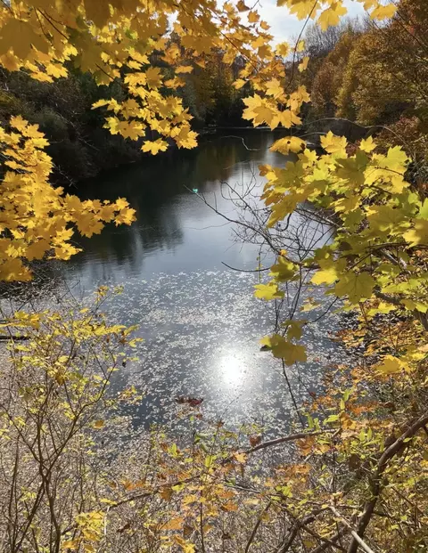 lot1 Old County Rd, Rockland, ME 04841