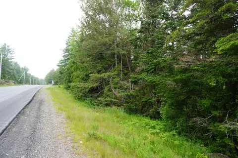 lot66 S River Rd, Edmunds Twp, ME 04628