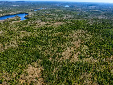 View/Area - 17 Fremonts Cor, Sullivan, ME 04664 photo 6 of 6