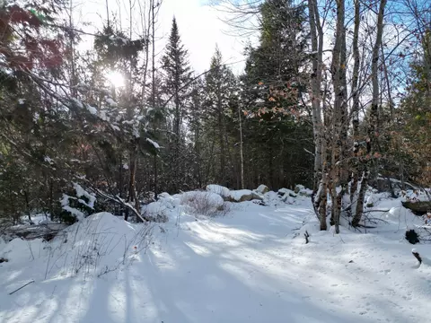 16 Crooked Pond Rd, Lincoln, ME 04457