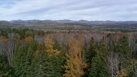 Other - 233 Porter Nadeau Rd, Eustis, ME 04936 photo 2 of 3