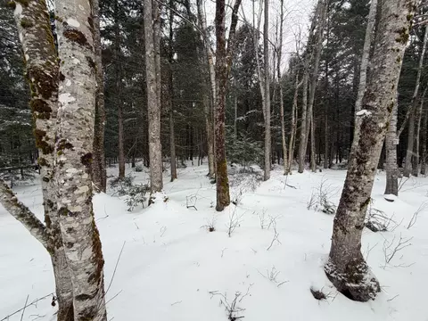 20 Compromise Dr, Lagrange, ME 04453
