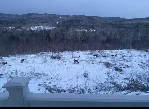 Other - 1882 North Rd, Cornish, ME 04020 photo 5 of 20