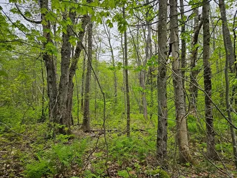 681 Mile Hill Rd, New Sharon, ME 04955