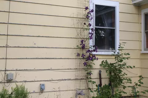Exterior - 1004 Benedicta Rd, Benedicta, ME 04733 photo 2 of 3