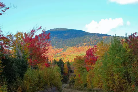 lot A Taylor Woods Rd, Temple, ME 04984