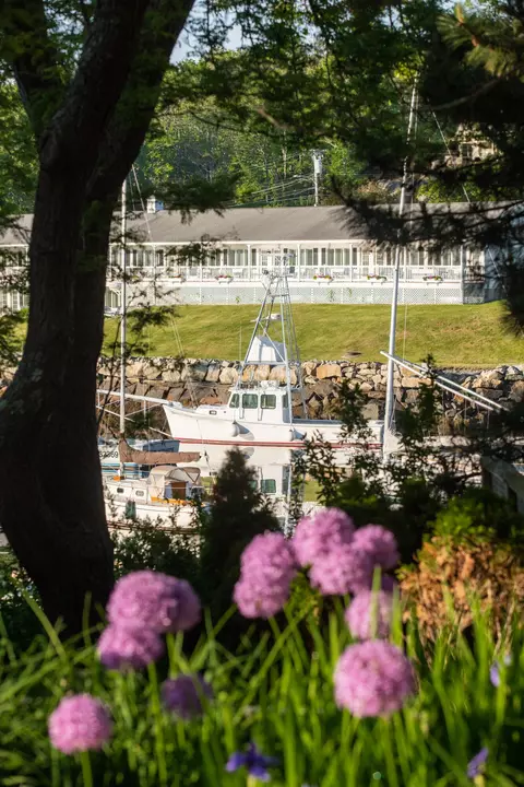 Other - 488 Main St #7, Ogunquit, ME 03907 photo 13 of 13
