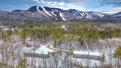 12 Lodgepole Ln #12, Newry, ME 04261