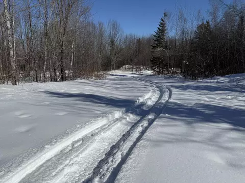Other - 0 Baskahegan Rd, Bancroft, ME 04497 photo 5 of 6