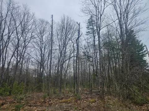 lot14 23 Perkins Rd, Burnham, ME 04922