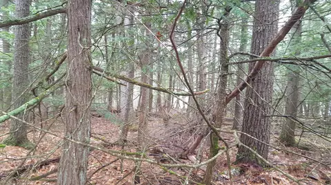 53 Johnson Rd, Windham, ME 04062 photo 8
