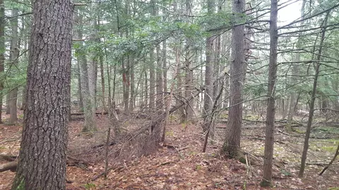 53 Johnson Rd, Windham, ME 04062 photo 10