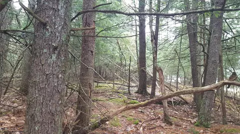 53 Johnson Rd, Windham, ME 04062 photo 7