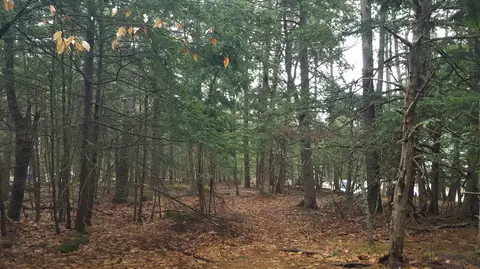 53 Johnson Rd, Windham, ME 04062 photo 14