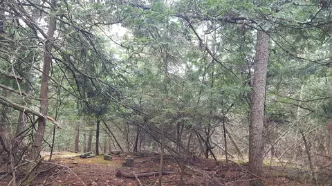 53 Johnson Rd, Windham, ME 04062 photo 15