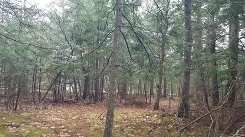 53 Johnson Rd, Windham, ME 04062 photo 12