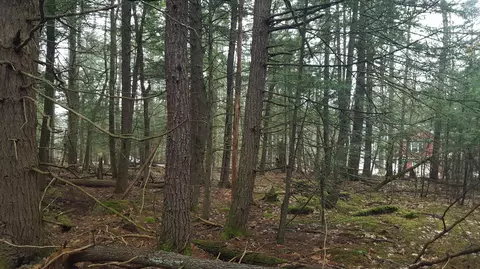 53 Johnson Rd, Windham, ME 04062 photo 11