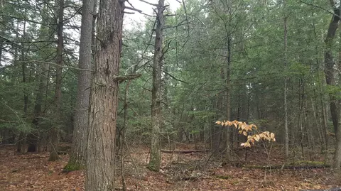 53 Johnson Rd, Windham, ME 04062 photo 18