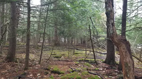 53 Johnson Rd, Windham, ME 04062 photo 9