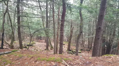 53 Johnson Rd, Windham, ME 04062 photo 6