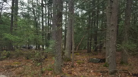 53 Johnson Rd, Windham, ME 04062 photo 17