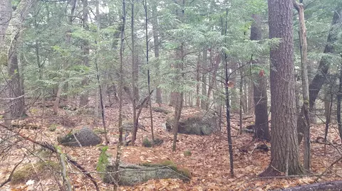 53 Johnson Rd, Windham, ME 04062 photo 3