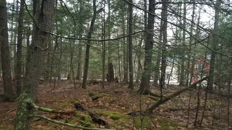 53 Johnson Rd, Windham, ME 04062 photo 13