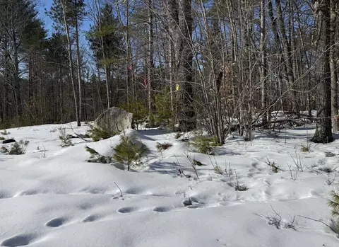 299 Intervale Rd, Jay, ME 04239 photo 3