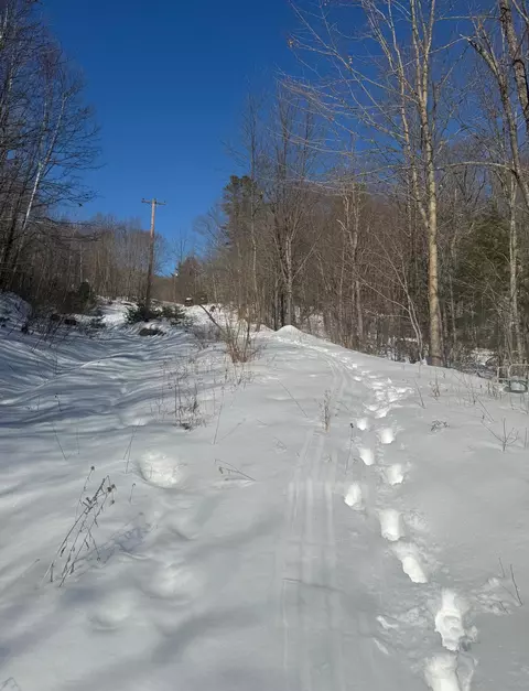 299 Intervale Rd, Jay, ME 04239 photo 5