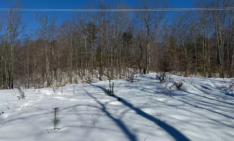 299 Intervale Rd, Jay, ME 04239 photo 2
