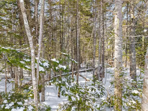 lot Apt 059 Paul Bunyan Rd, Gouldsboro, ME 04624 photo 14