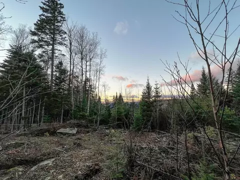 lot16 Mill Brook Rd, Sandy River Plt, ME 04970