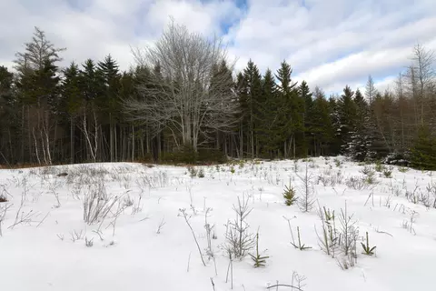 12 Lindsays Rd, Deer Isle, ME 04627