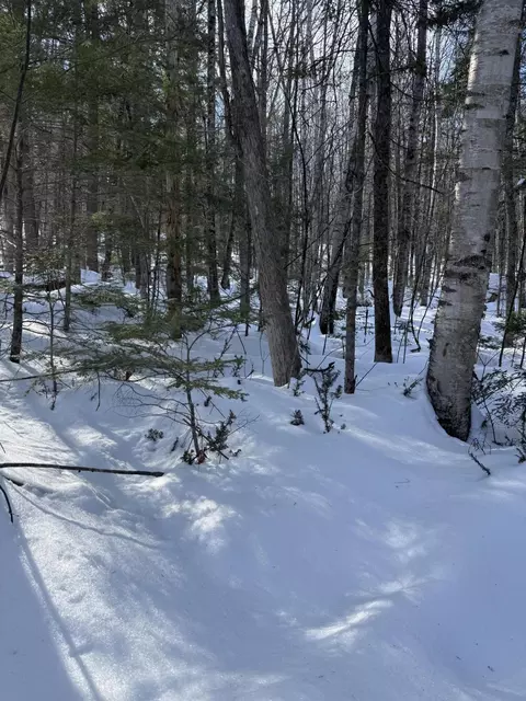 tbd Great Moose Pond Dr, Hartland, ME 04943