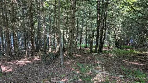 lot Apt 8 Kolm Ln, Garland, ME 04939