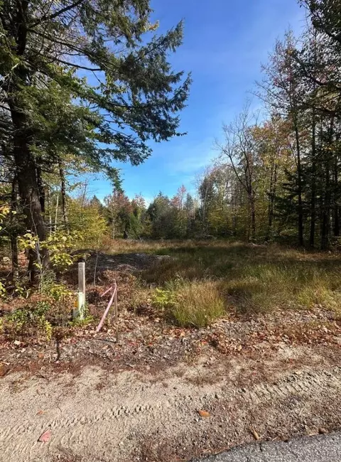 lot2 Hancock Pond Rd, Sebago, ME 04029