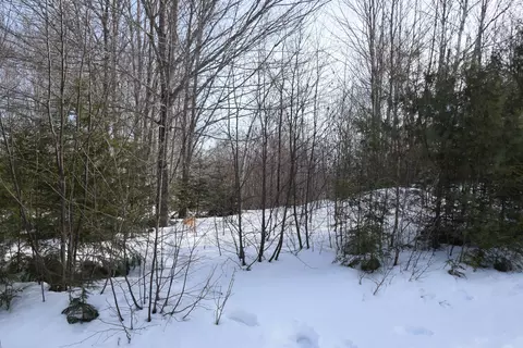 1 Pine Bluff Road, Embden, ME 04958 photo 2