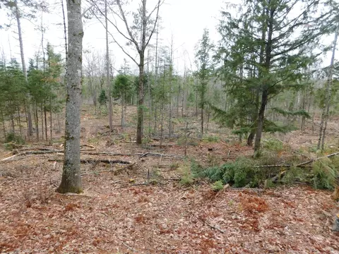 lot Apt 4 Spring Bridge Rd, Greenbush, ME 04418