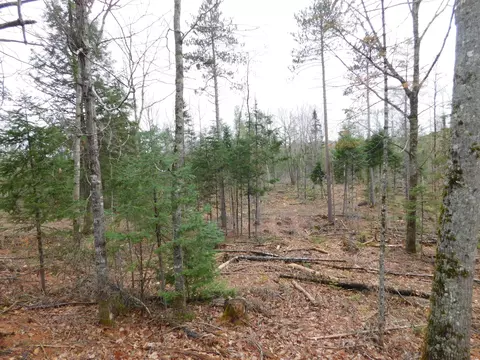 lot Apt 2 Spring Bridge Rd, Greenbush, ME 04418