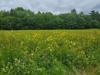 Other - 144 Middle Rd, Edgecomb, ME 04556 photo 4 of 21