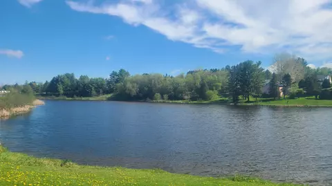 46 Pondview St, Limestone, ME 04750 photo 2