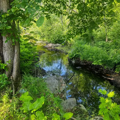 View/Area - 255 Bates St, Millinocket, ME 04462 photo 1 of 1