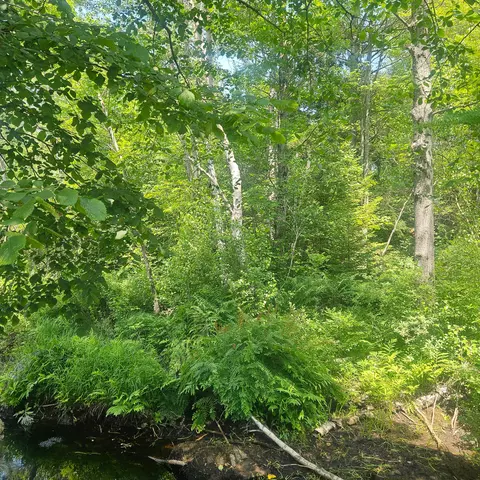 Other - 255 Bates St, Millinocket, ME 04462 photo 3 of 10