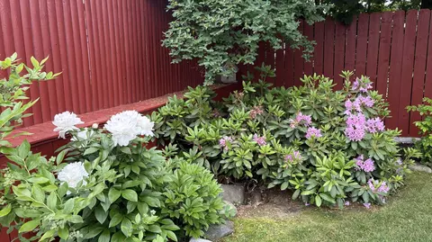Exterior - 18 Winter St, Millinocket, ME 04462 photo 9 of 14