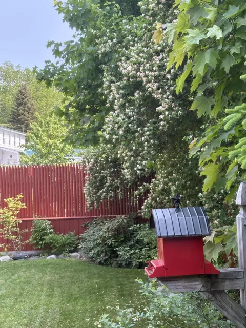 Exterior - 18 Winter St, Millinocket, ME 04462 photo 11 of 14