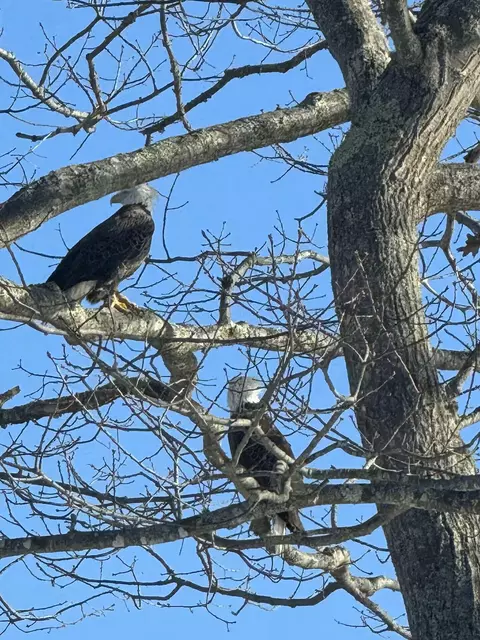 Other - 70 Maquoit Dr, Freeport, ME 04032 photo 8 of 9