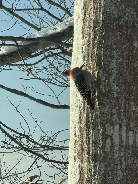 Other - 70 Maquoit Dr, Freeport, ME 04032 photo 9 of 9