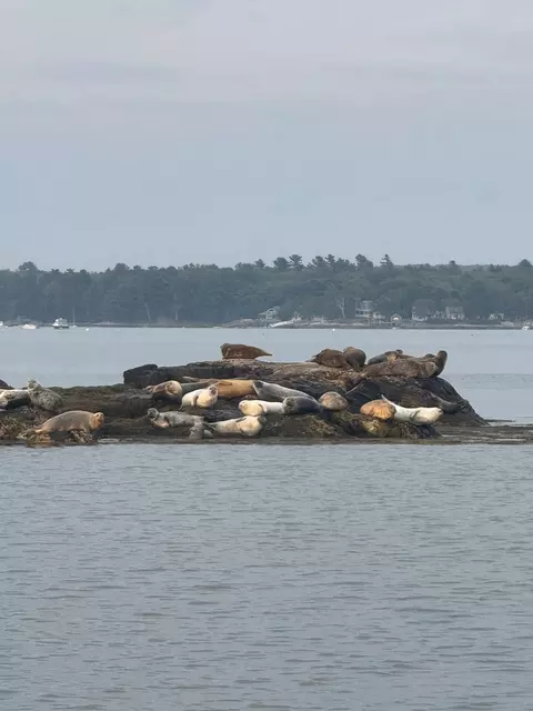 View/Area - 70 Maquoit Dr, Freeport, ME 04032 photo 6 of 7
